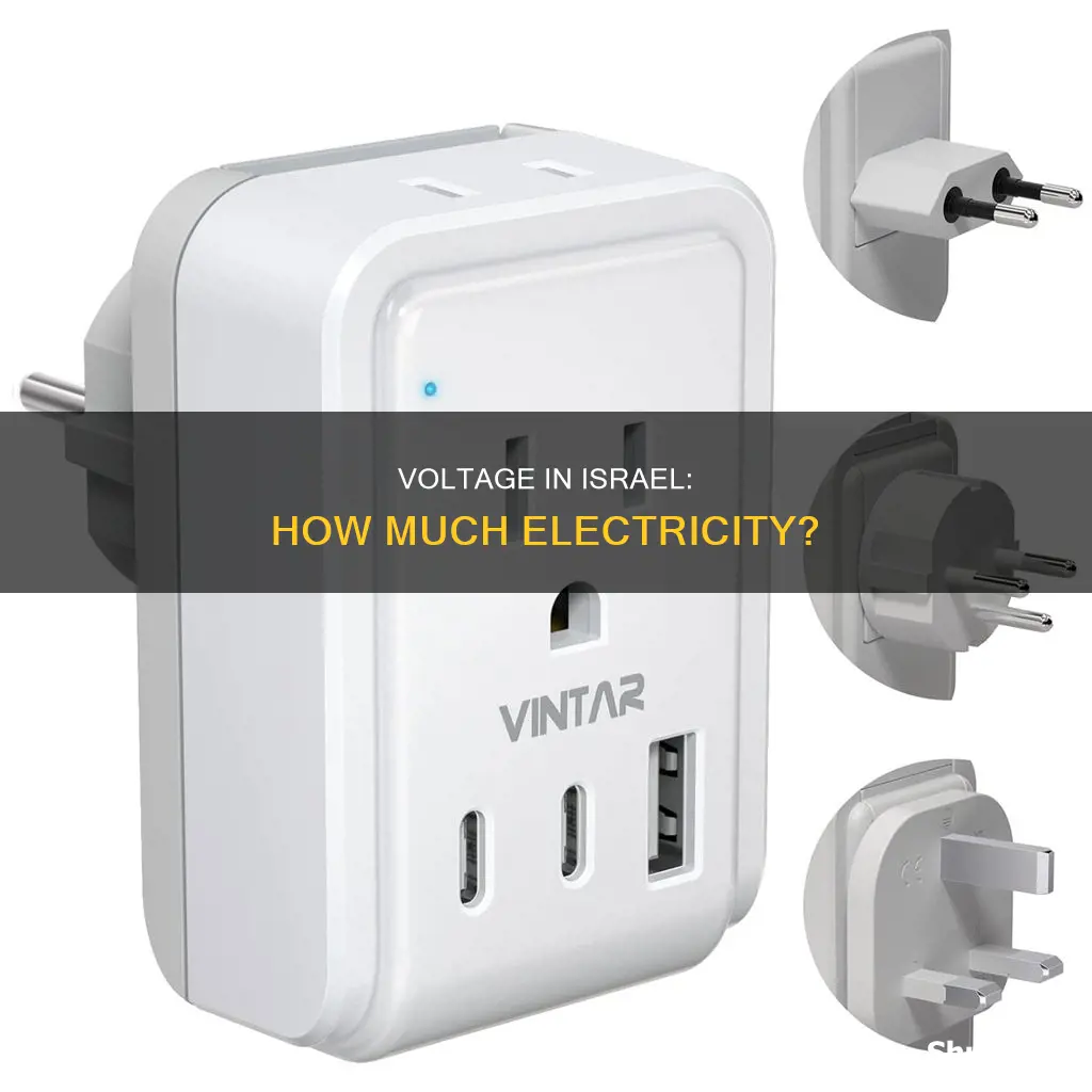 what is the electricity voltage in israel