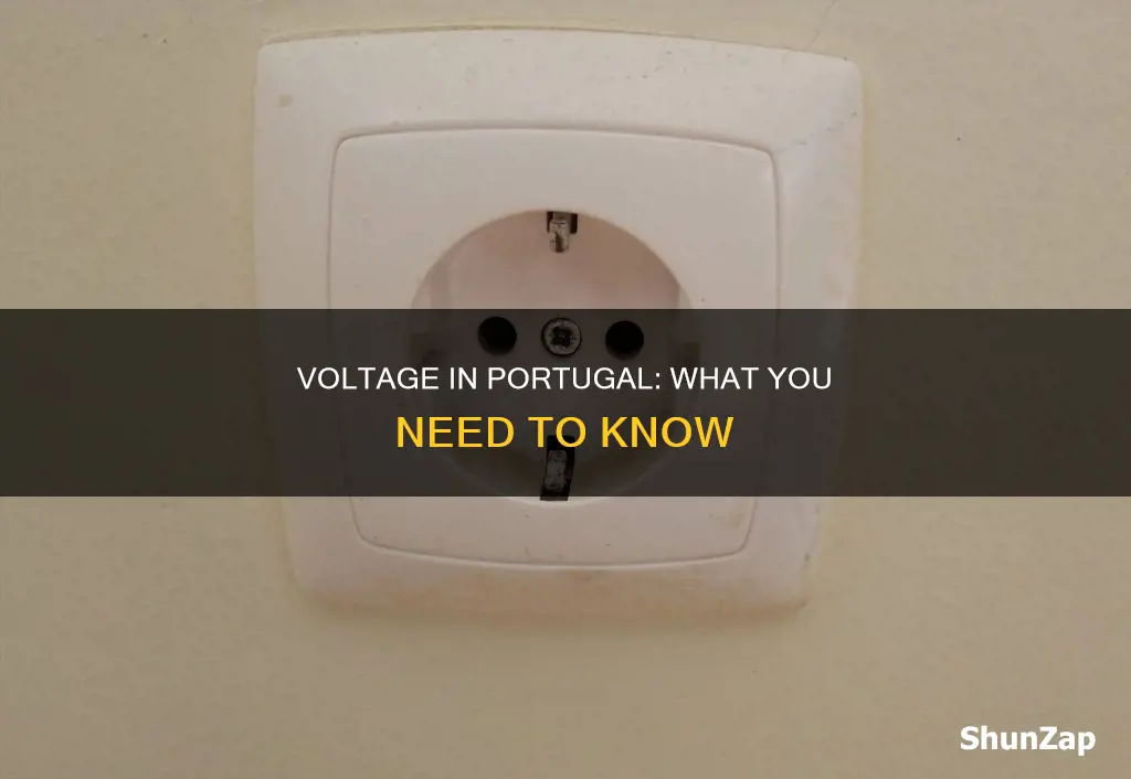 what is the electricity voltage in portugal