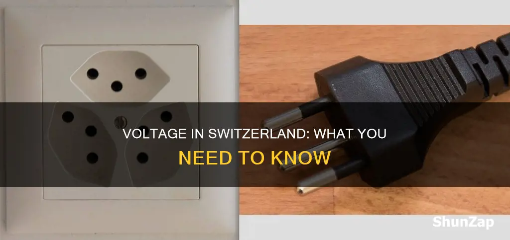 what is the electricity voltage in switzerland