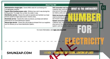 Electricity Emergencies: Quick Access to Support