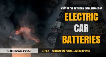 Electric Car Batteries: Uncovering Their Environmental Impact and Sustainability