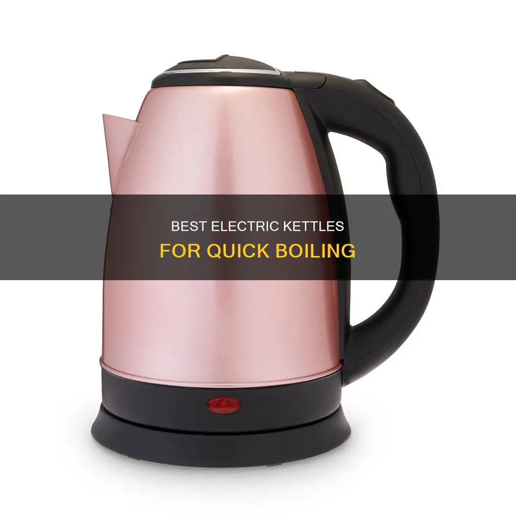 what is the fastest boiling electric kettle