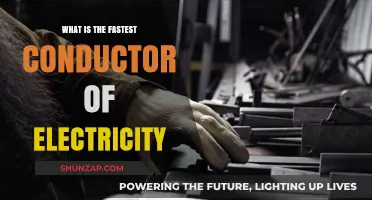 Best Electric Conductors: Superconductors and the Future