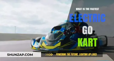 Electric Go-Karts: Who's the Speedster?