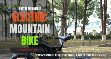 The Ultimate Electric Mountain Bike for Speedsters