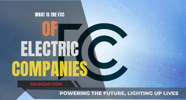 Unraveling the FCC's Role in Electric Company Regulation