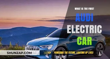 Audi's Electric Revolution: Unveiling the First Fully Electric Model