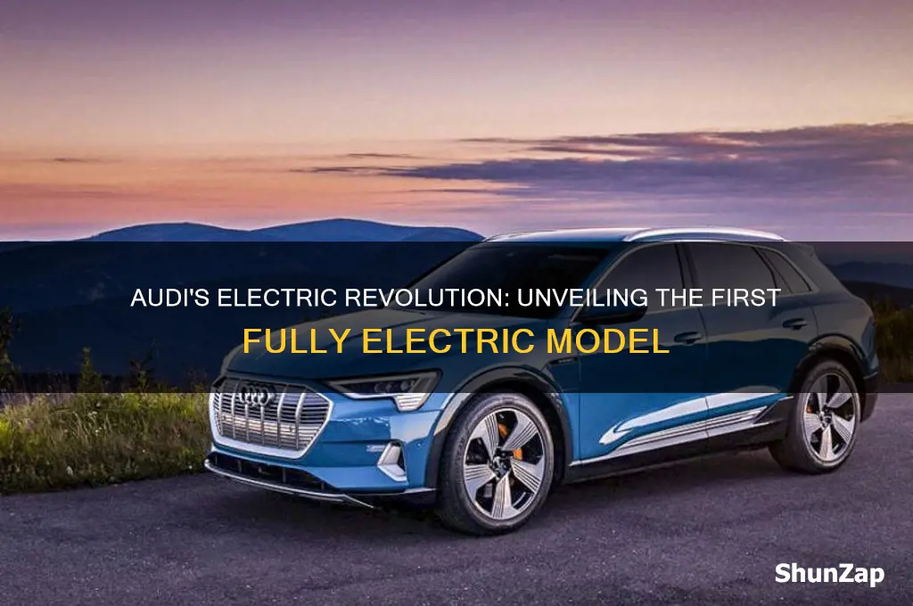 what is the first audi electric car
