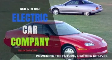 The Pioneer of Electric Vehicles: Unveiling the First Electric Car Company