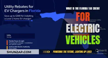 Unlock Savings: Florida's EV Tax Credit Explained