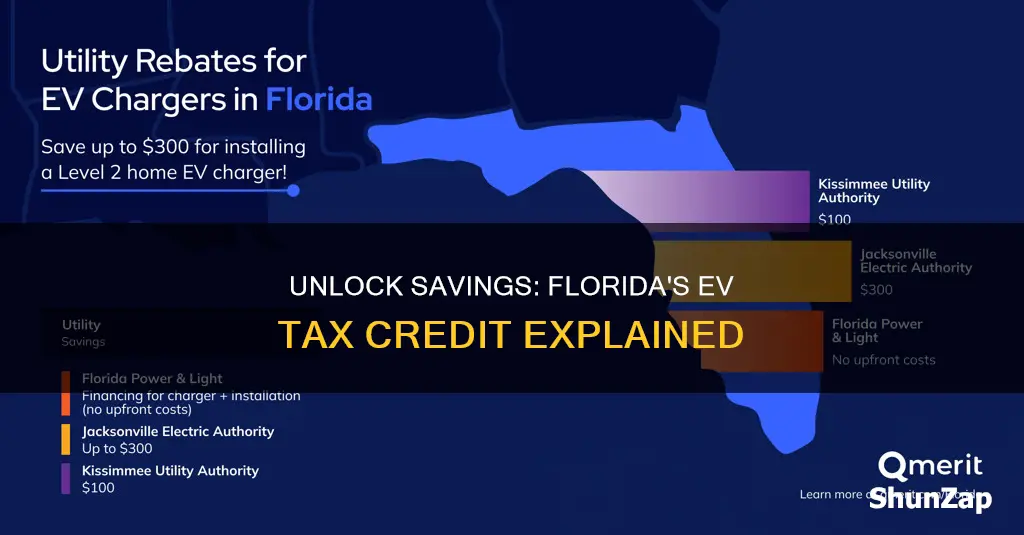 what is the florida tax credit for electric vehicles