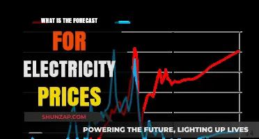 Electricity Prices: Forecasting the Future