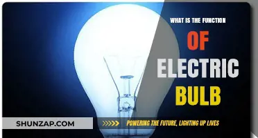 Electric Bulbs: How Do They Work?