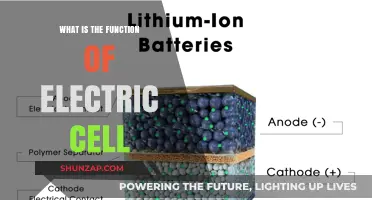 Electric Cell Functionality: Powering Our World