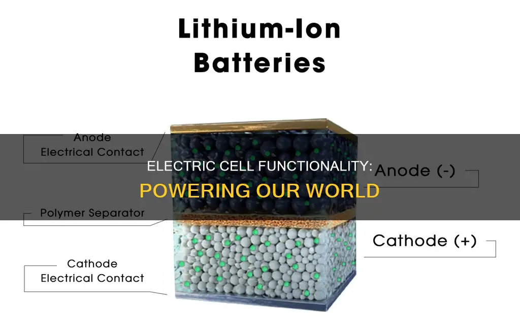 what is the function of electric cell