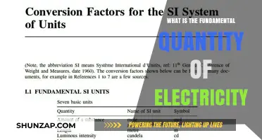 Electricity's Core: Understanding Fundamental Quantity
