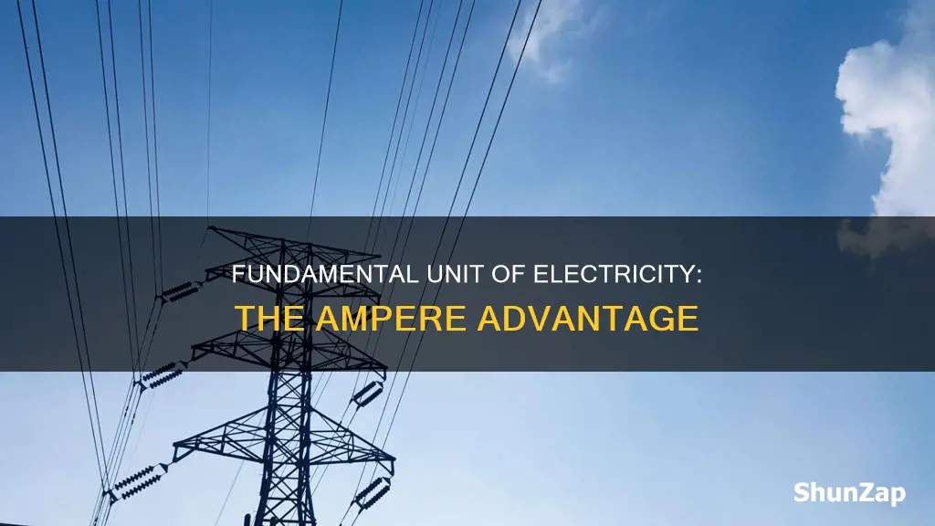 what is the fundamental unit of electricity