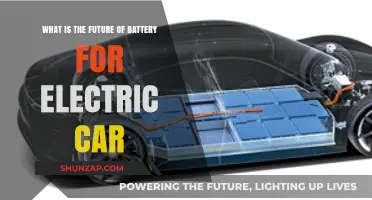Revolutionizing Electric Vehicles: The Future of Battery Technology and Innovation