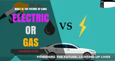 Electric vs. Gas: Which Will Dominate the Future of Cars?