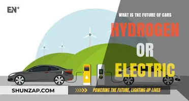 Hydrogen vs. Electric: Which Will Power the Future of Cars?