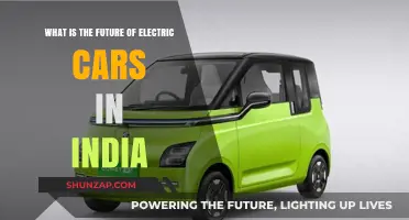 India's Electric Vehicle Revolution: Trends, Challenges, and Future Prospects