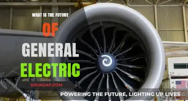 General Electric: Future Prospects and Challenges