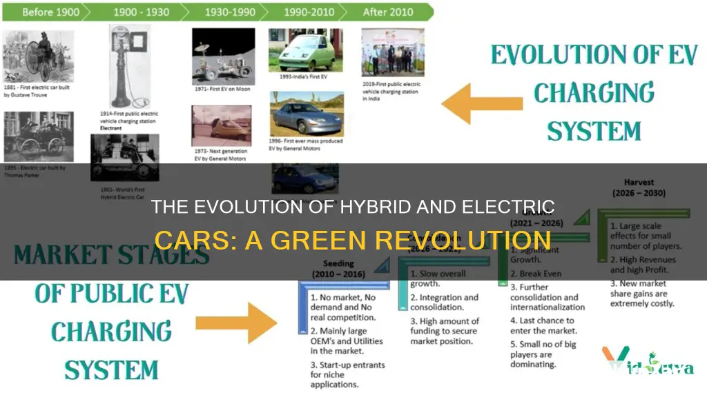 what is the future of hybrid or electric vehicles