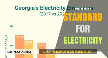Understanding Georgia's Electricity Standards
