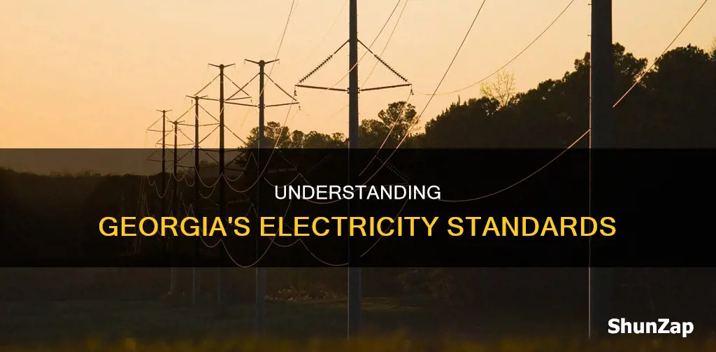 what is the ga standard for electricity