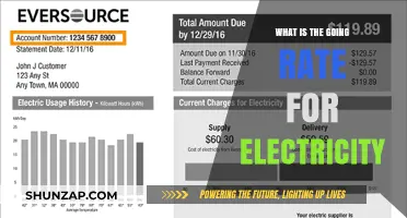 The Cost of Electricity: Current Rates and Trends