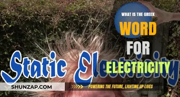 The Greek Origin of the Word Electricity