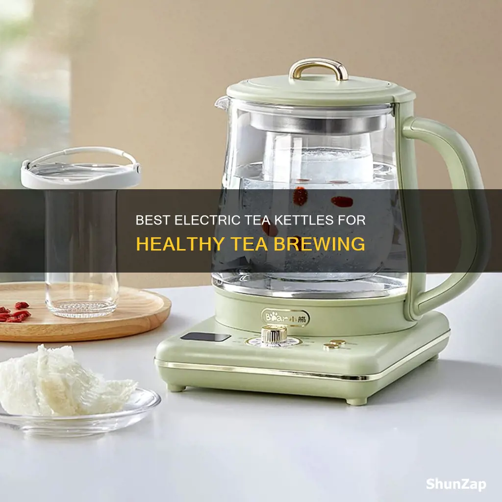 what is the healthiest electric tea kettle