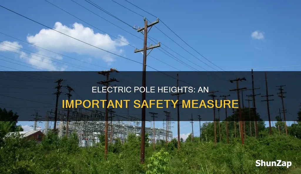 what is the height of electric pole