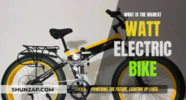 The Highest Watt Electric Bike Options for Your Needs