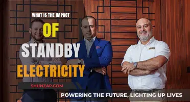 Standby Electricity: Energy, Money, and the Planet