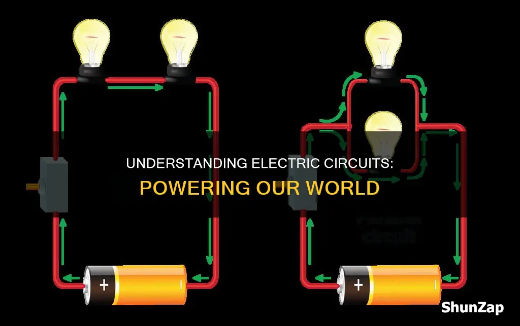 what is the importance of electric circuit