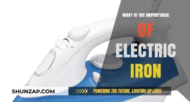 Ironing Out Wrinkles: Electric Iron's Significance