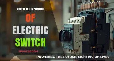 Electric Switches: Power Control and Energy Conservation