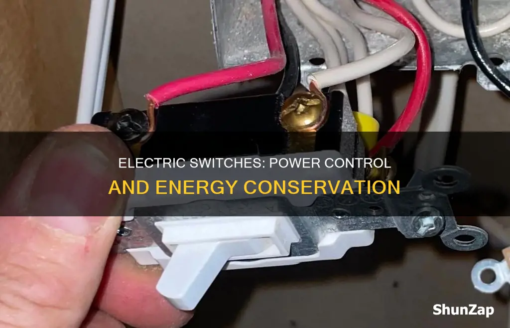 what is the importance of electric switch