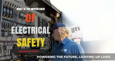 Electrical Safety: A Matter of Life and Death