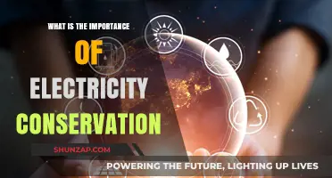 Electricity Conservation: Why Less is More