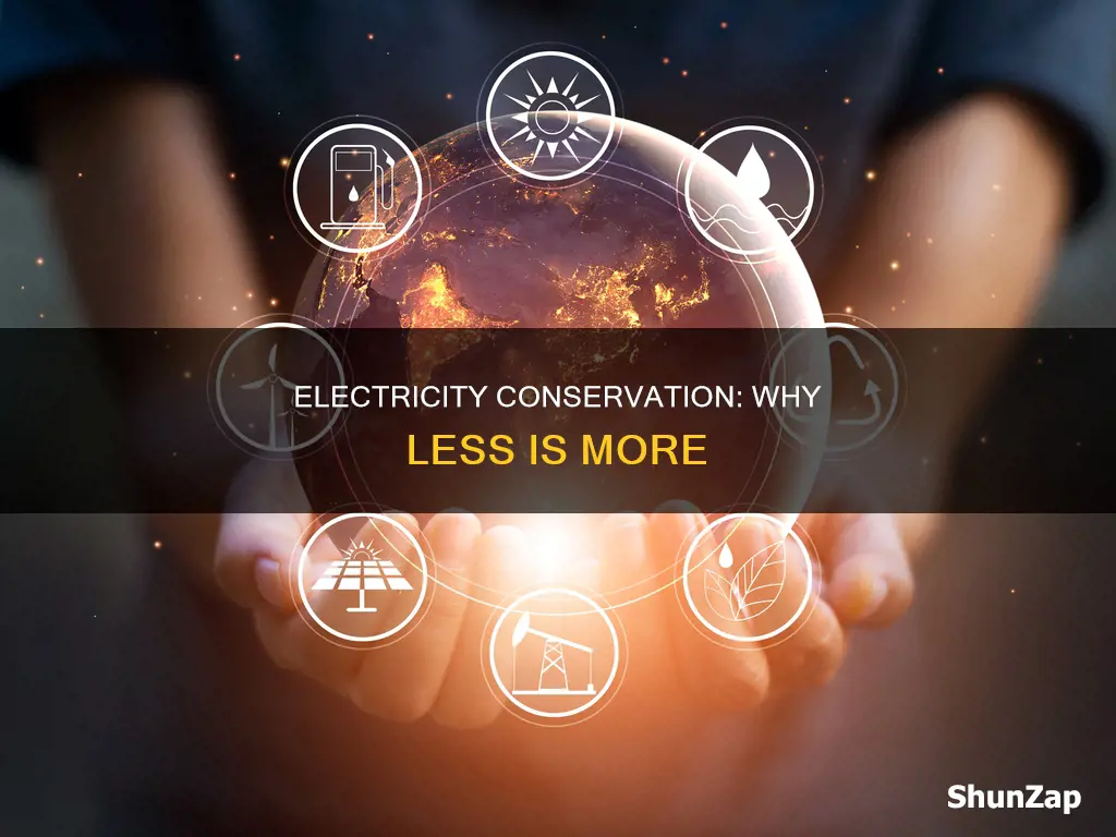 what is the importance of electricity conservation