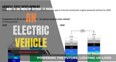 The Cost of Green: Industry Insights on EV Production