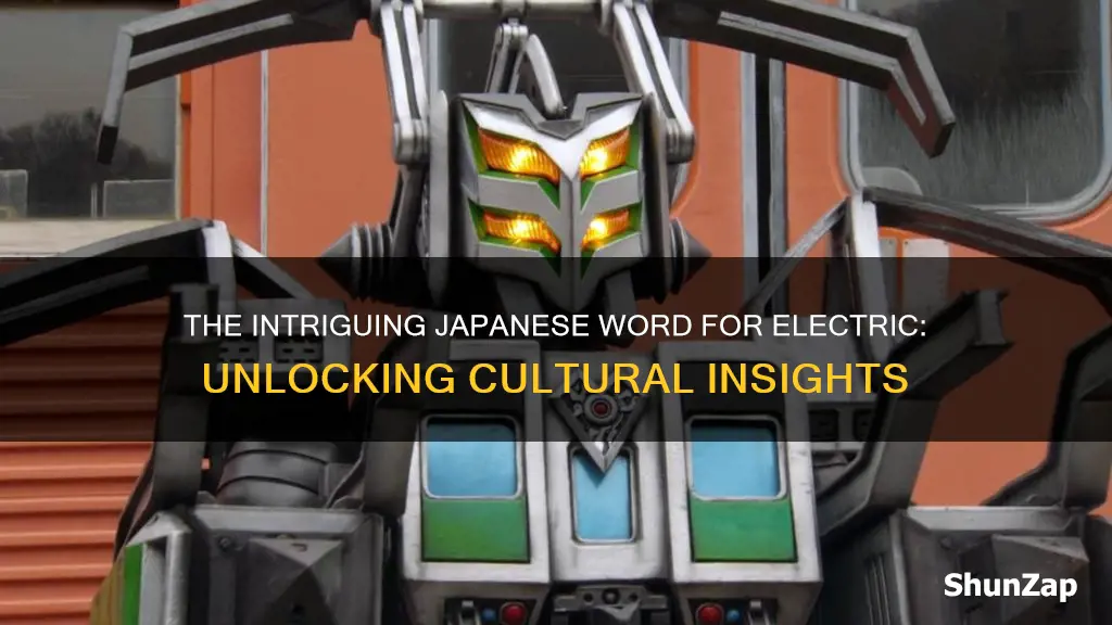 what is the japanese word for electric