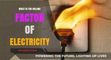 Electricity's Lethal Power: Understanding the Killing Factor