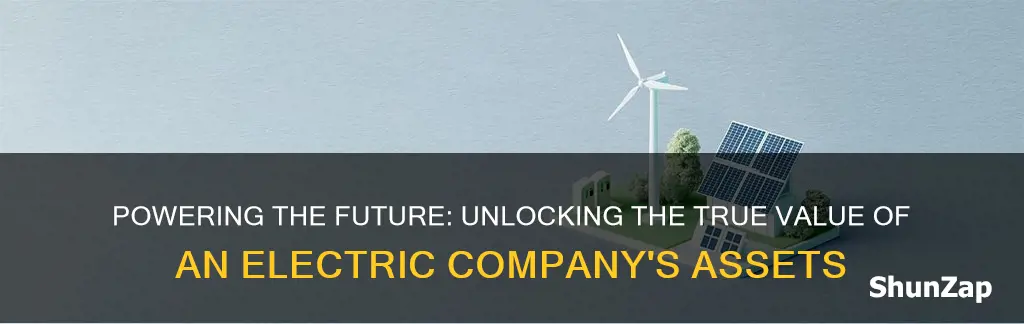 what is the largest asset for an electric company