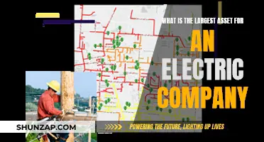 Electric Companies' Greatest Resource: Their Infrastructure Network