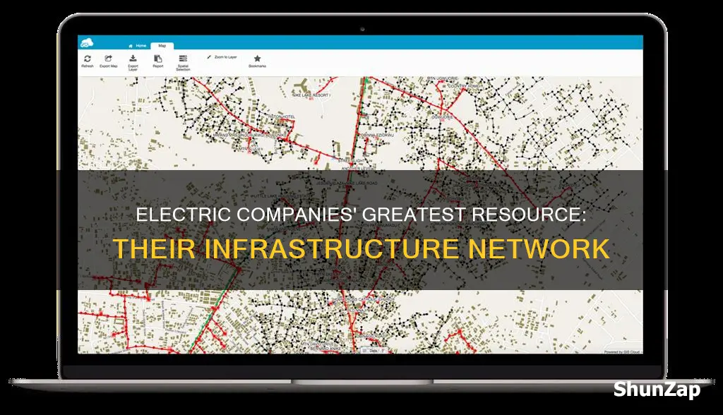 what is the largest asset for an electric company