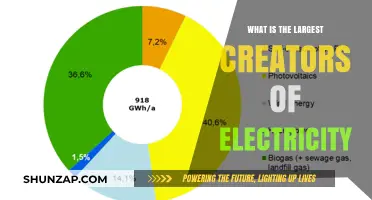 The World's Largest Electricity Producers