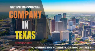 Texas Powerhouse: Unveiling the State's Top Electrical Giant